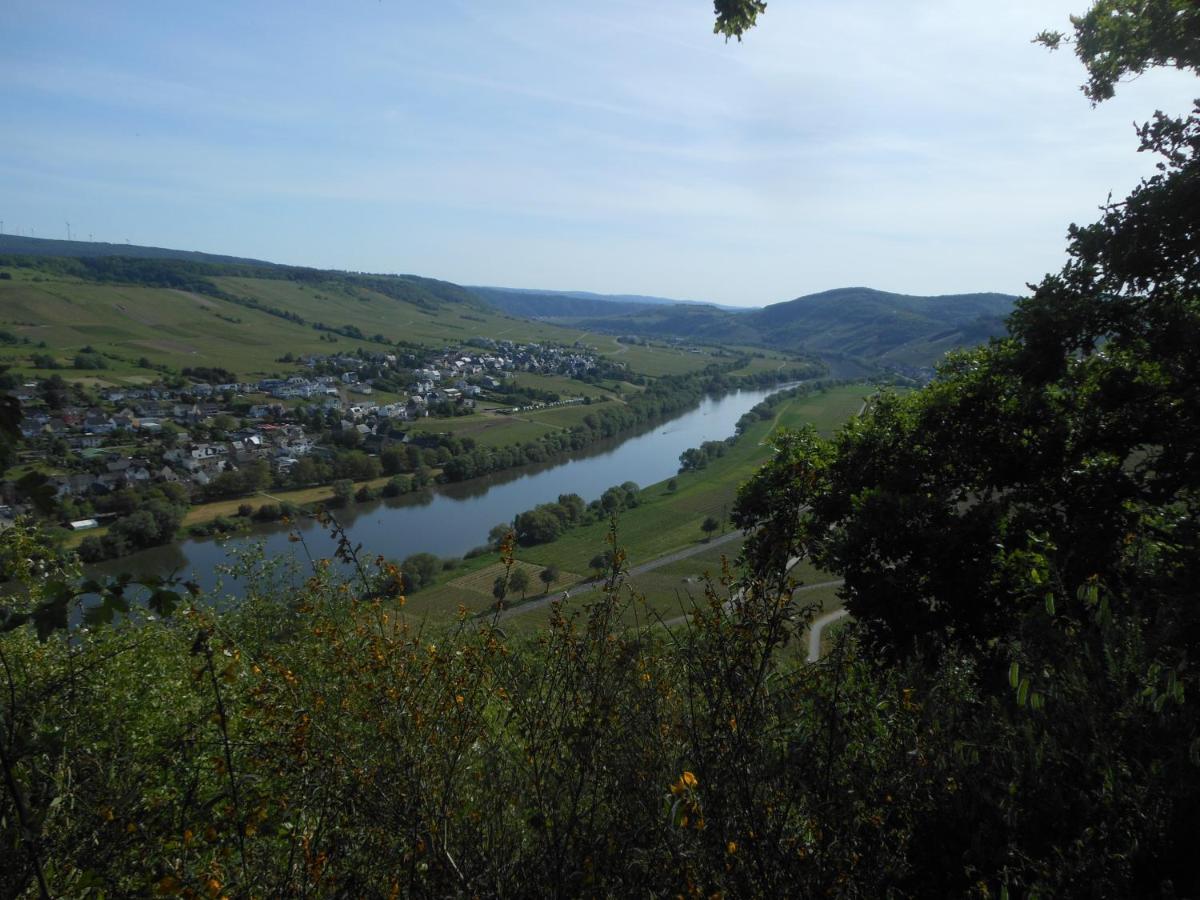 Willa Ferienhaus Mosel Brauneberg Zewnętrze zdjęcie